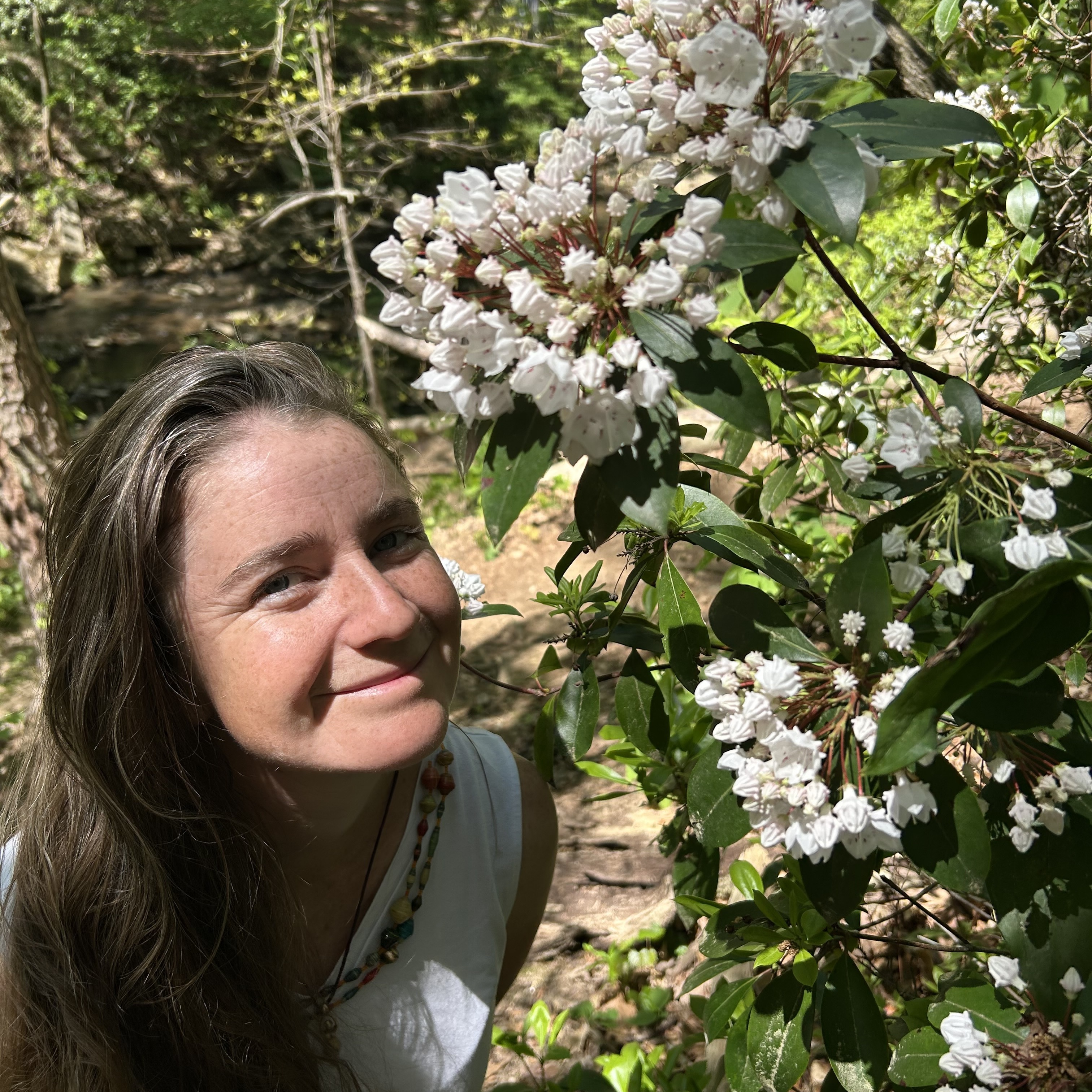 Native Cut Flower Gardens: Grow, Harvest, and Arrange with Leonora Stefanile - logo